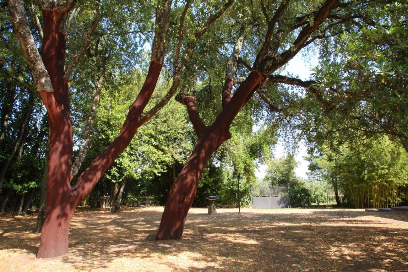 Agriturismo Casale Zuccari Caprarola Zewnętrze zdjęcie